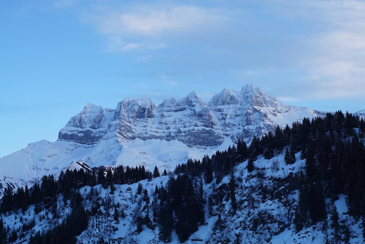 Champoussin Lodge Dış mekan fotoğraf